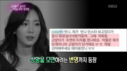 이제 고양이로부터 악플을 막을수있어요 | 인스티즈