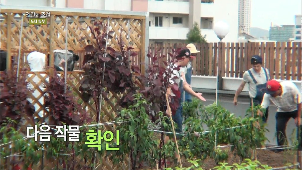 애국자 흥궈 | 인스티즈