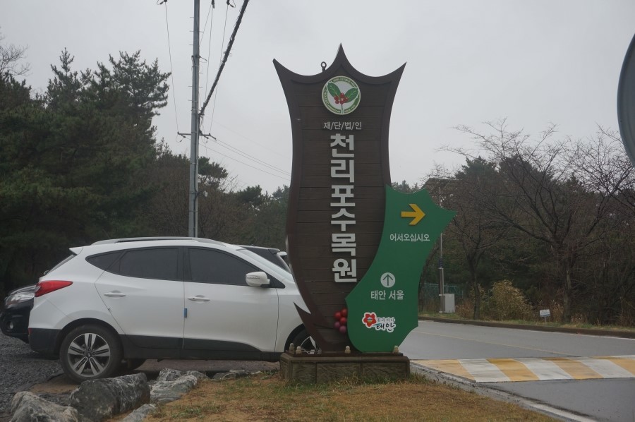 백수초등학교 이미지