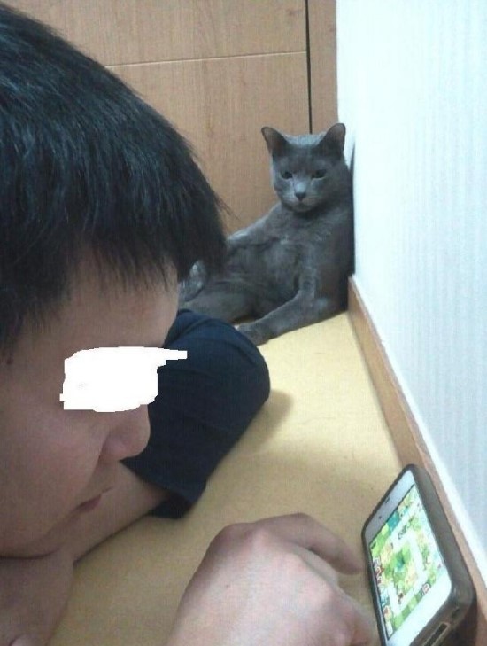 라누에 이미지