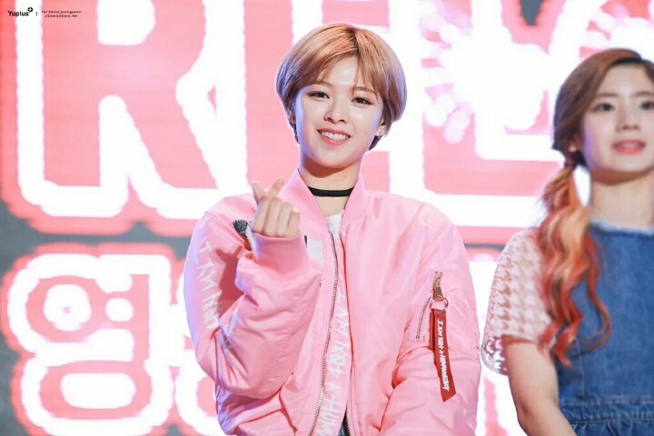 트와이스 사나랑 정연이 | 인스티즈