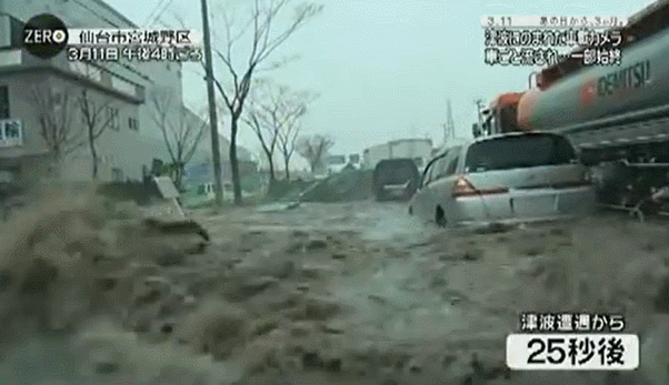 차 안에서 맞이하는 쓰나미의 과정...... | 인스티즈