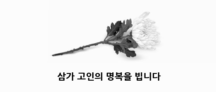서울대 병원의 백남기씨 병사 판정이유 | 인스티즈