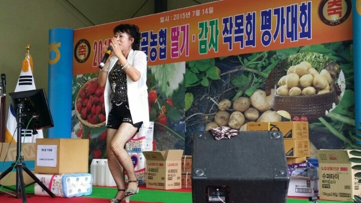 순정감자 이미지