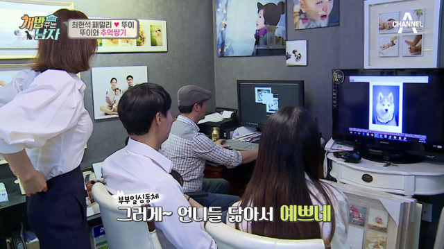 겁나 귀여운 최현석 셰프 강아지 뚜이(오드아이 시베리안 허스키).jpg | 인스티즈