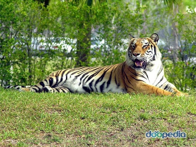 왜 많은 덕후들이 리버스를 싫어하는가?(feat.신리멸) | 인스티즈