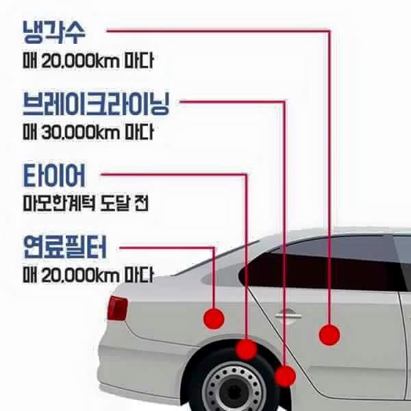 자동차 관리 하는 법 | 인스티즈