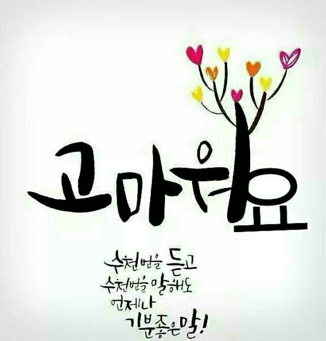 달아유 이미지