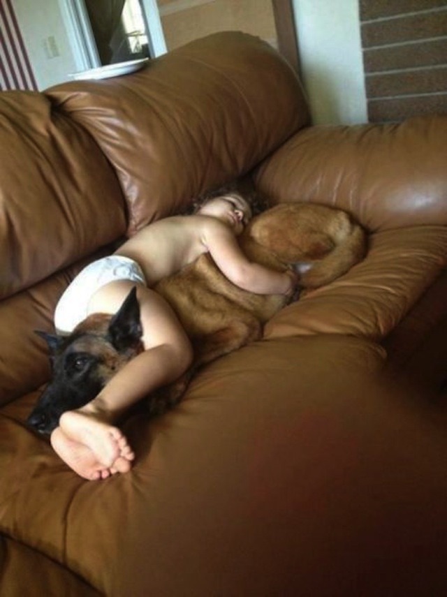 애들과 멍멍이 | 인스티즈