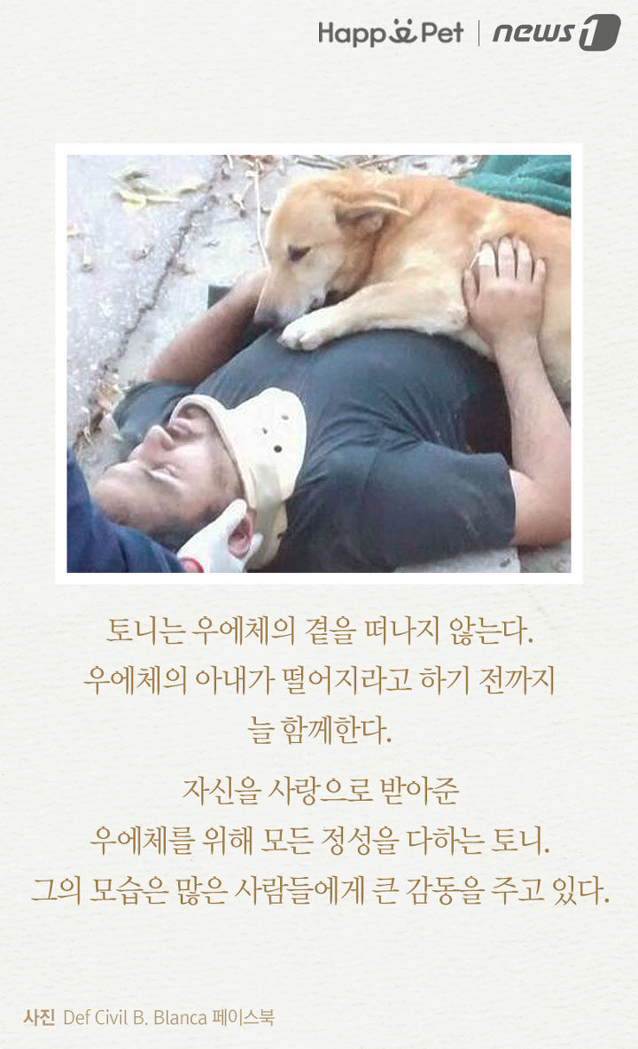 내 주인님 좀 살려주세요ㅜㅜ | 인스티즈