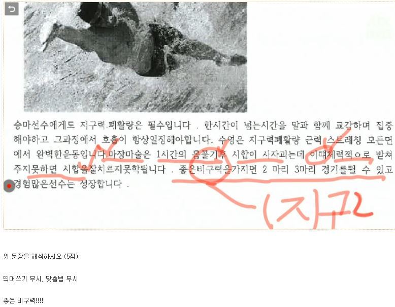 최순실 딸 이화여대 레포트 오탈자 정리 | 인스티즈