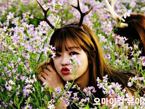쓸데없지만 멋진 남자들의 단결력 | 인스티즈