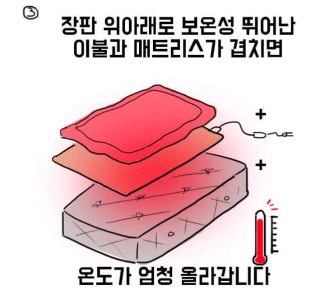 전지장판의 위험성 | 인스티즈