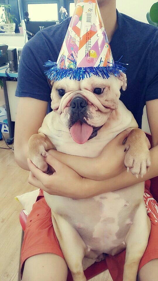 꼬깔모자 이미지