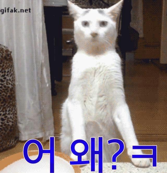 빵긋 이미지