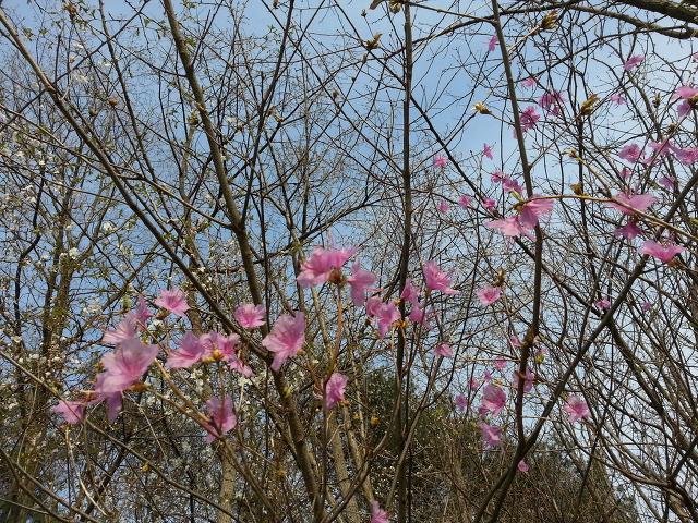 만산농장 이미지