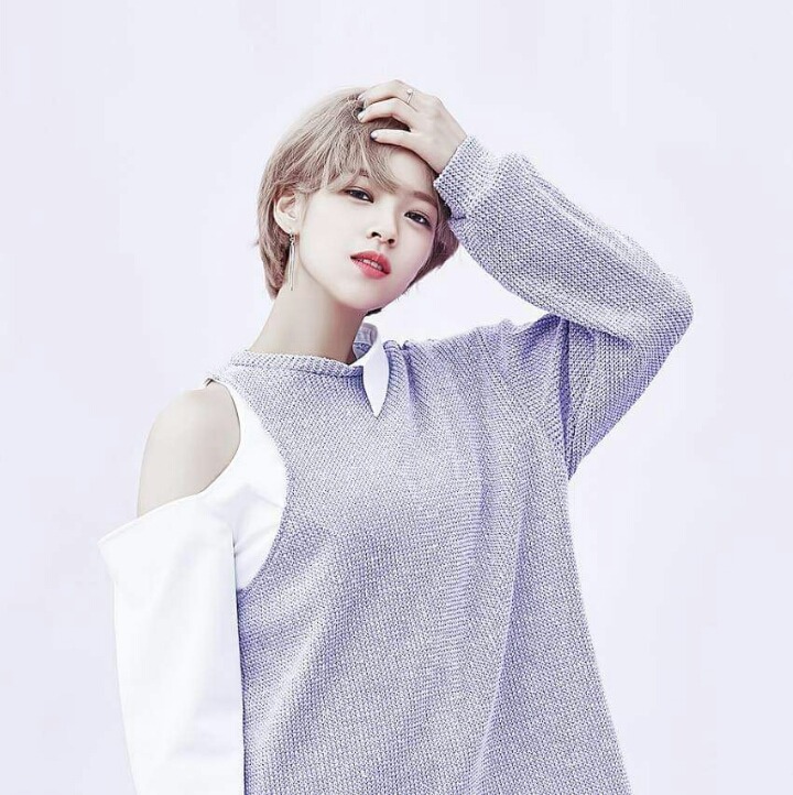 정연이 사나 | 인스티즈