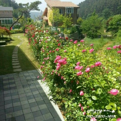어느날 집에서 쫓겨난 당신! 산 속 주택 or 도심지 월셋방에 들어가야 하는데.....! | 인스티즈