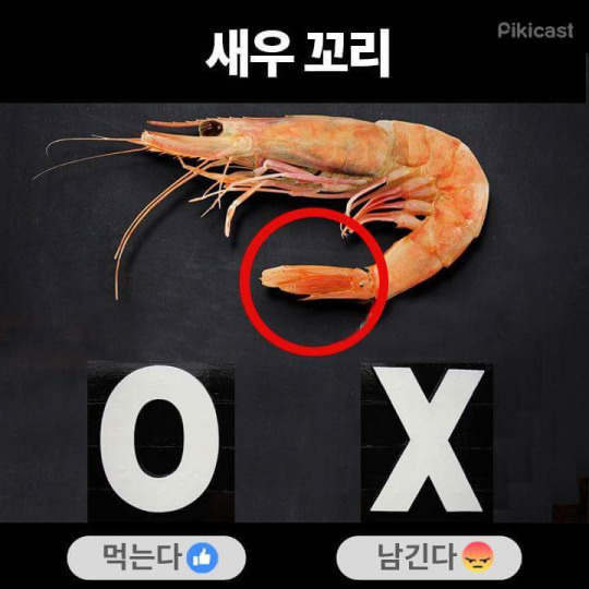 새우꼬리 먹는다vs안먹는다 | 인스티즈