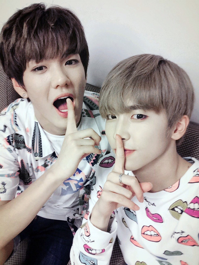 화준푸드 이미지