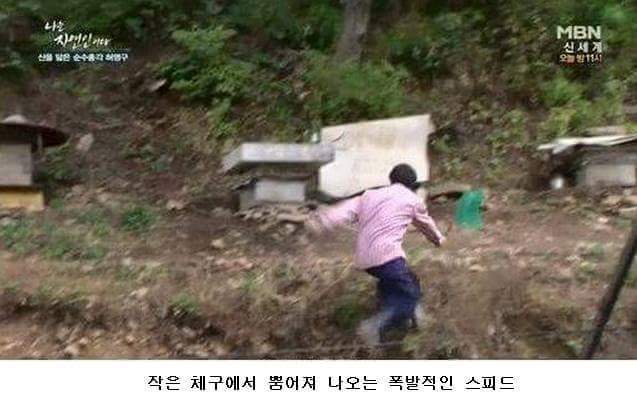 말벌잡는아저씨ㅋㅋㅋㅋㅋㅋㅋㅋ | 인스티즈