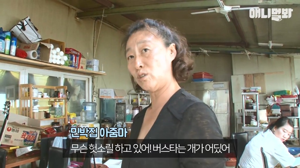 혼자 버스타고 지인 만나러가는 강아지 | 인스티즈