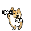 공항에서 만난 어머님이 사진 찍자니까 포즈 취하는 수지 | 인스티즈