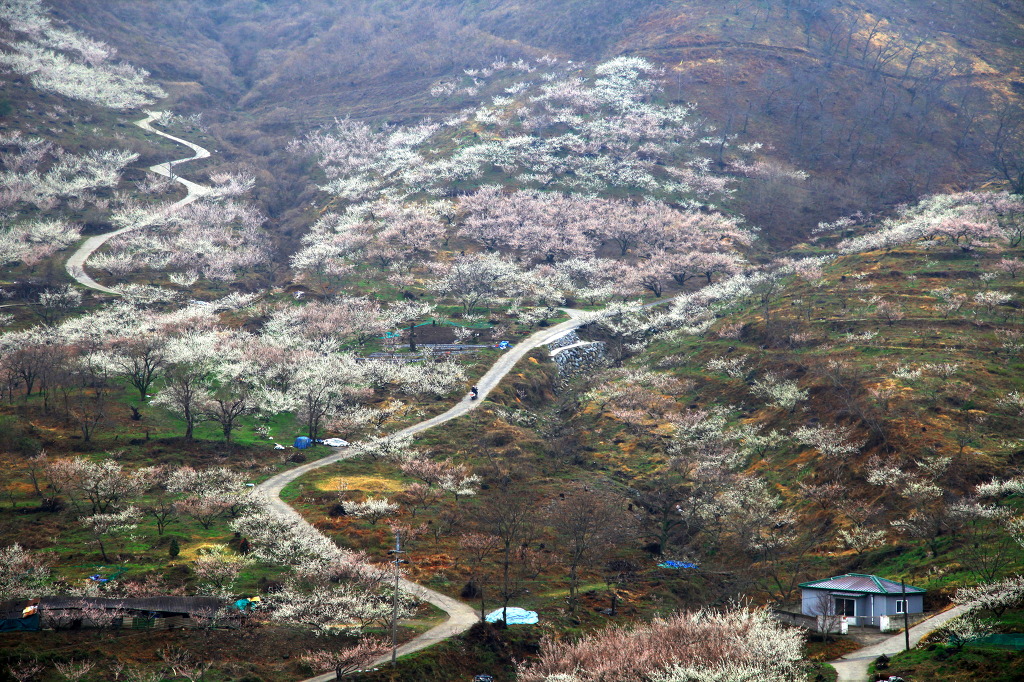 이야기가있는풍경 이미지