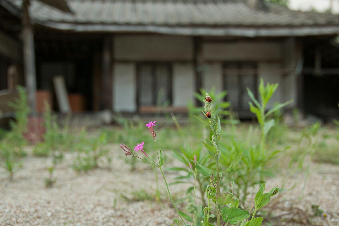 오뉴일 이미지