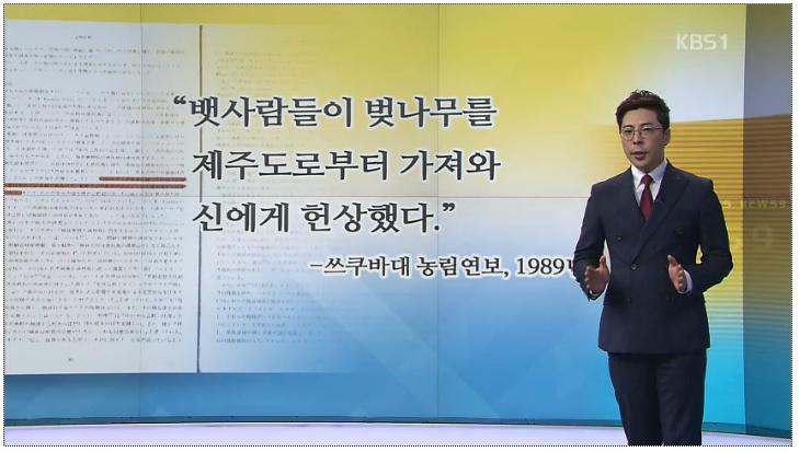 벚꽃의 원산지는 한국 - KBS 뉴스 | 인스티즈