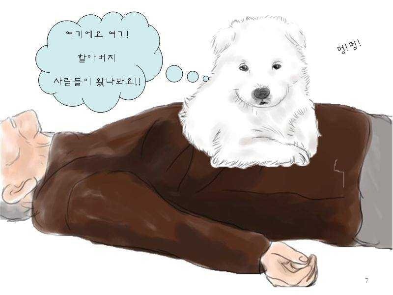 치매 할아버지를 구한 아기 풍산개 | 인스티즈
