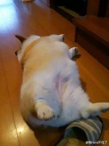 짐 이미지