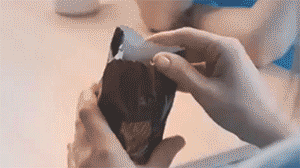 고양이는 이렇게 태어난다고 한다.gif | 인스티즈