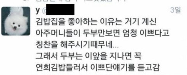 강아지가 외출만 하면 김밥 가게에 가는 이유.......jpg | 인스티즈