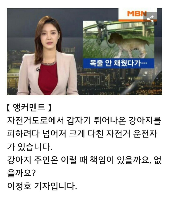자전거도로에서 강아지 때문에 넘어져 골절..누구 책임? | 인스티즈