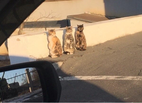 얘들아! 왜? | 인스티즈