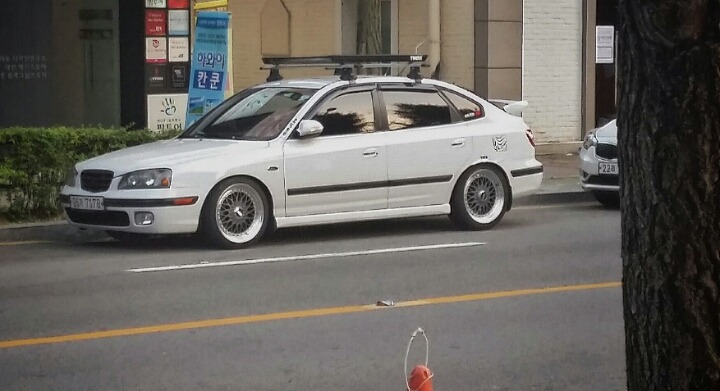 윙바이오 이미지