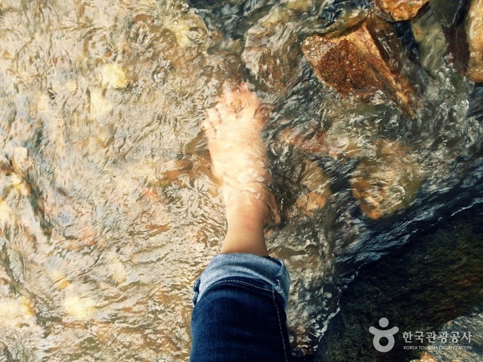 초아랑 대전 계족산 황톳길 가고 싶다 | 인스티즈