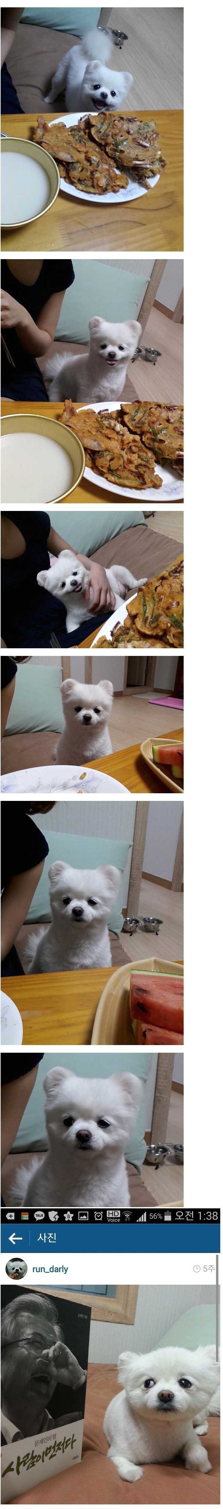 사람이 먼저다.jpg | 인스티즈