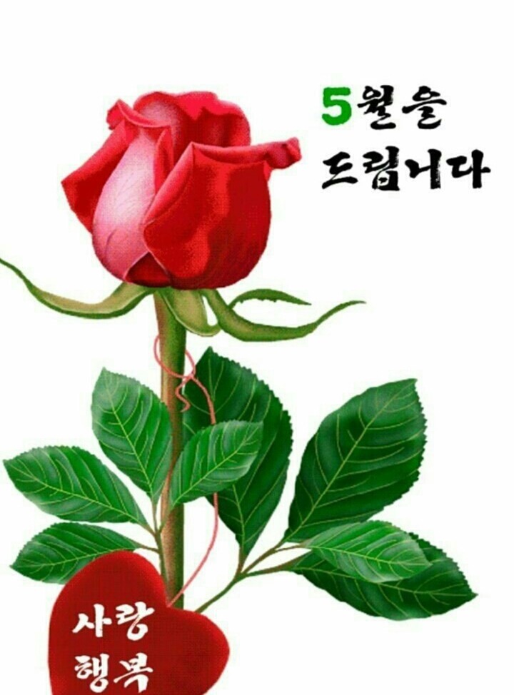 오월 이미지