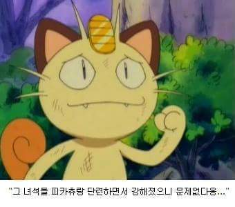로켓단이 갓켓단인 이유 | 인스티즈