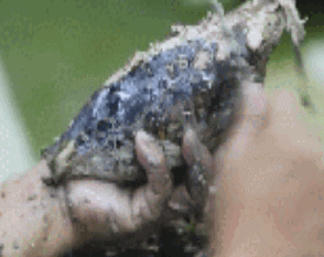 참치캔 만드는 과정 | 인스티즈