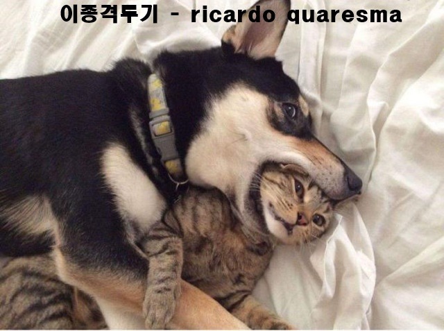 2016 공군 방공유도탄사령부 - 사격대회 | 인스티즈