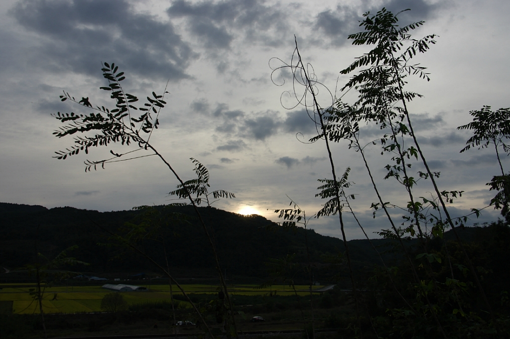 2273CE4F525E85A202E4B7