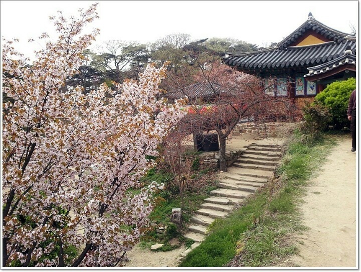 송내남부꽃 이미지