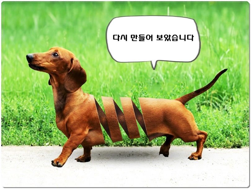 바카스 이미지