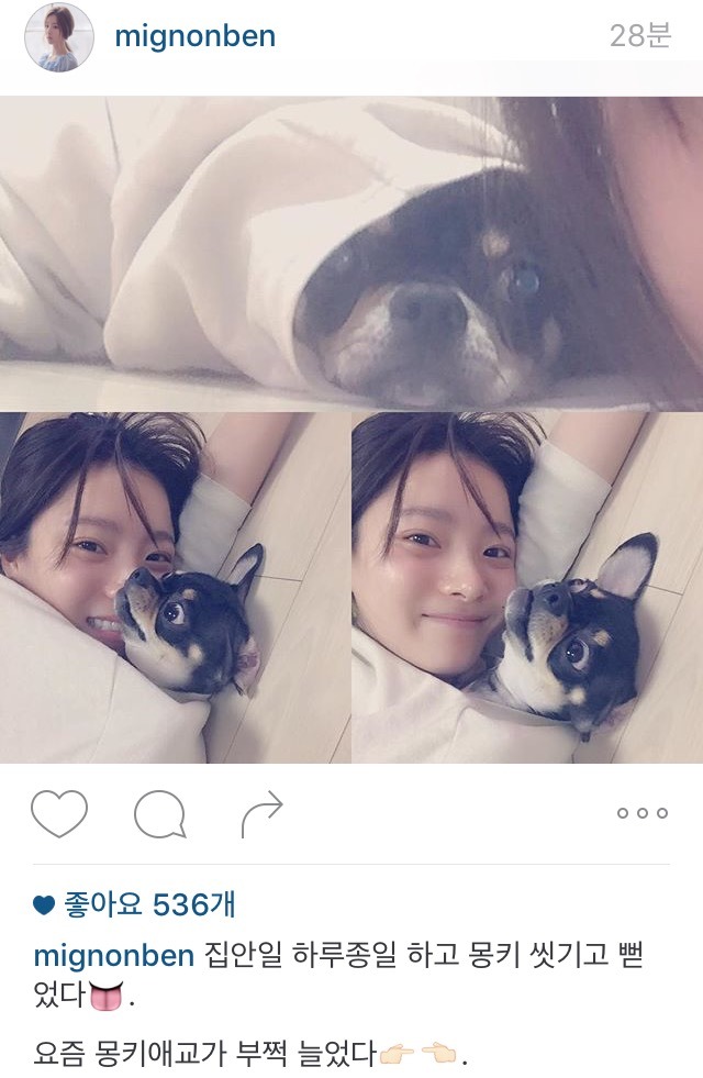 벤 강아지 | 인스티즈
