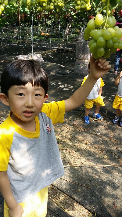 오하포도농원 이미지