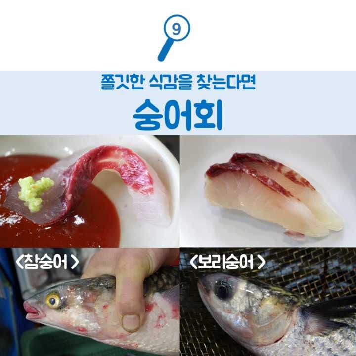 생선회 구별법.JPG | 인스티즈