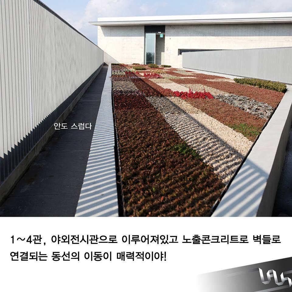 제주도 가볼만한 건축물 | 인스티즈